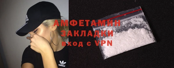 мдпв Ельня