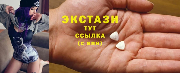 мдпв Ельня