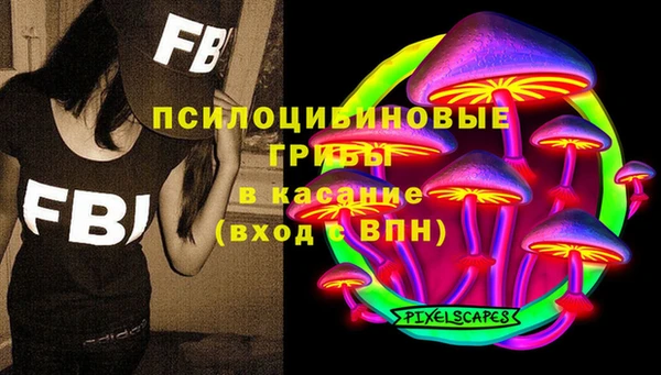ешки Слюдянка
