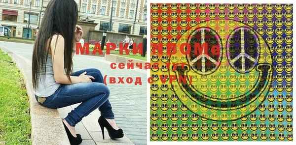 мдпв Ельня