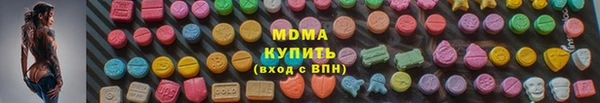 мдпв Ельня