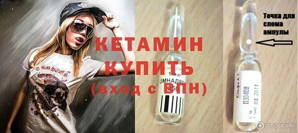 мдпв Ельня