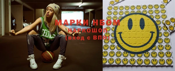 мдпв Ельня