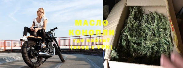 мдпв Ельня